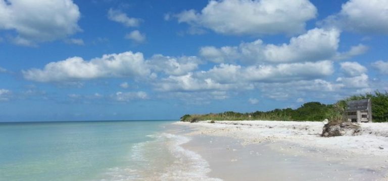 honeymoon island