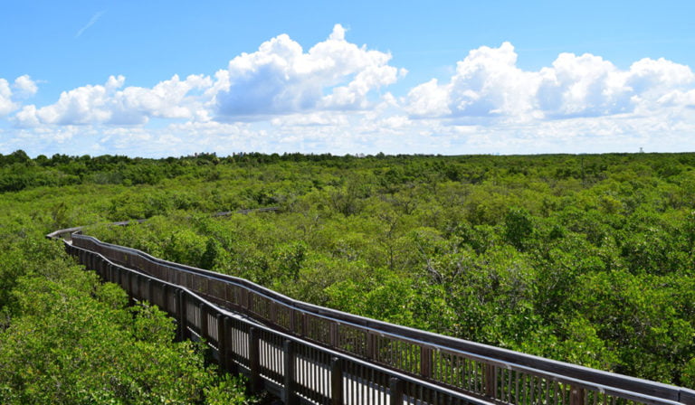 Take A Hike: Local Nature Preserves and Parks to Discover