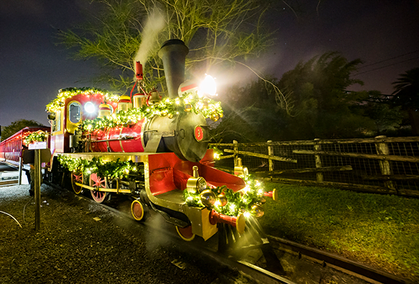 Busch Gardens Christmas Town