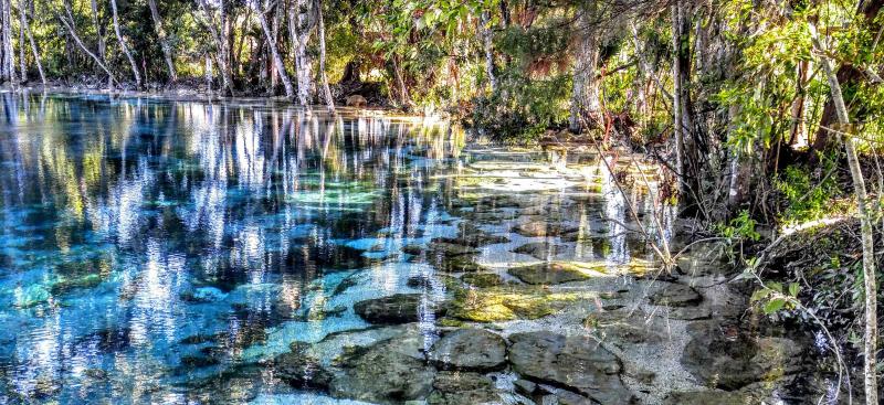 wilderness preserve