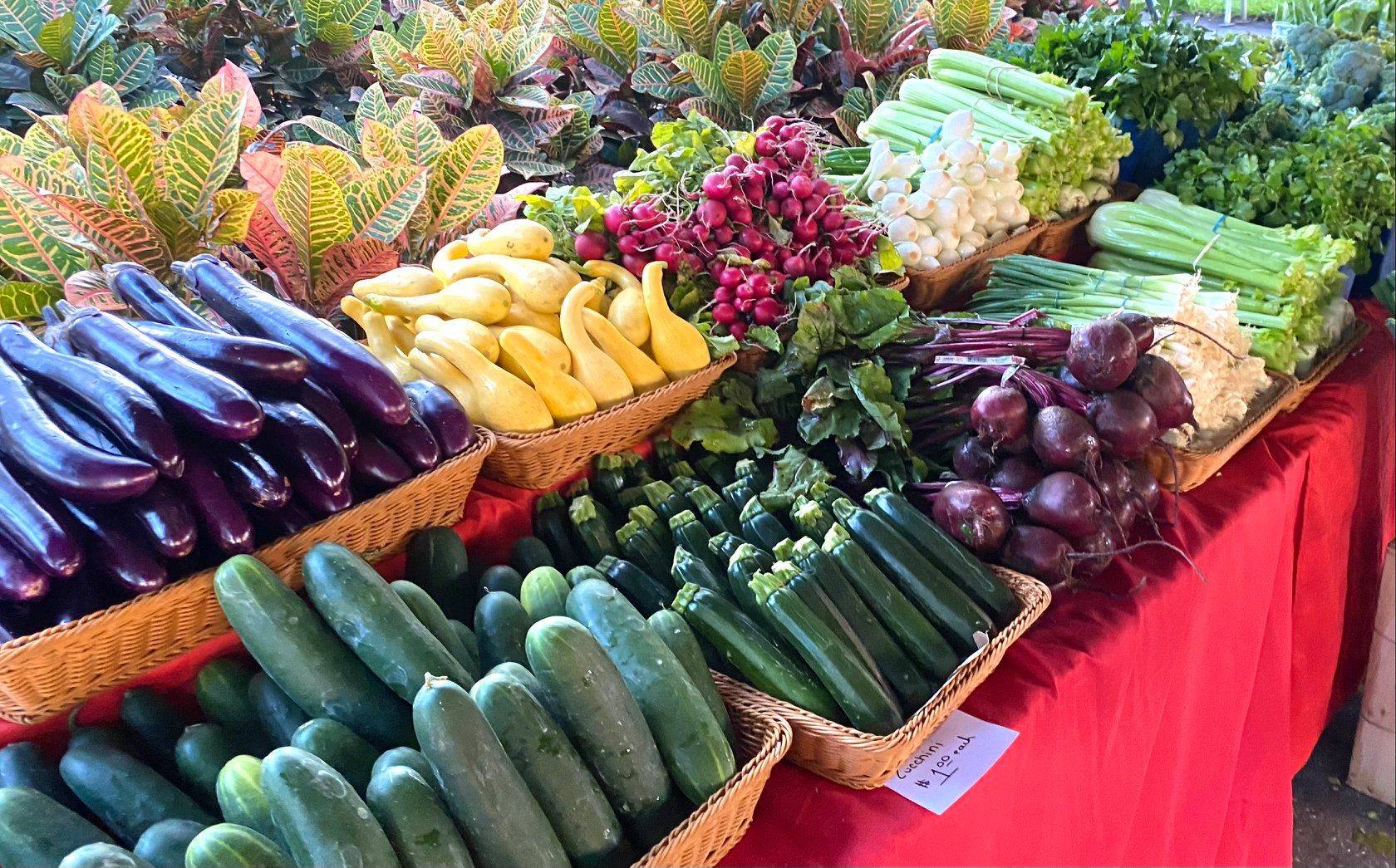 A Guide to Tampa Area Farmers Markets