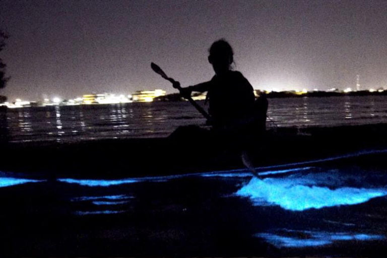 Summer date ideas - Bioluminescent Kayaking