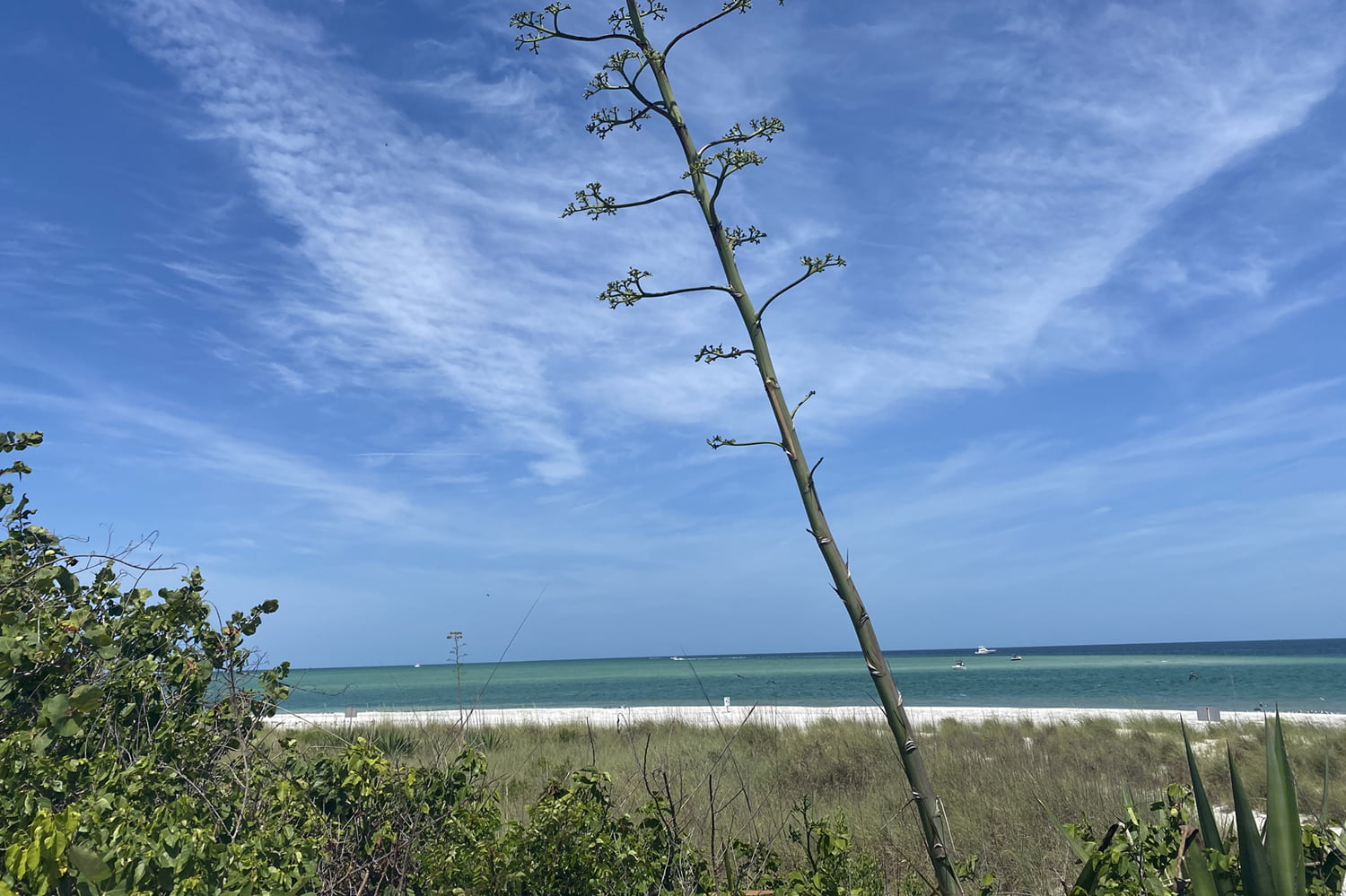 Sail Away to Egmont Key State Park for the Day