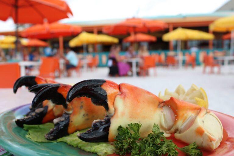 10 Date-Worthy Best Tampa Bay Seafood Restaurants