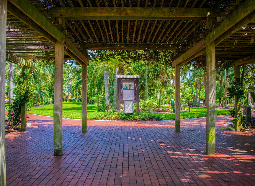 Tampa Bay Parks for a perfect picnic - Gizella Kopsick Palm Arboretum