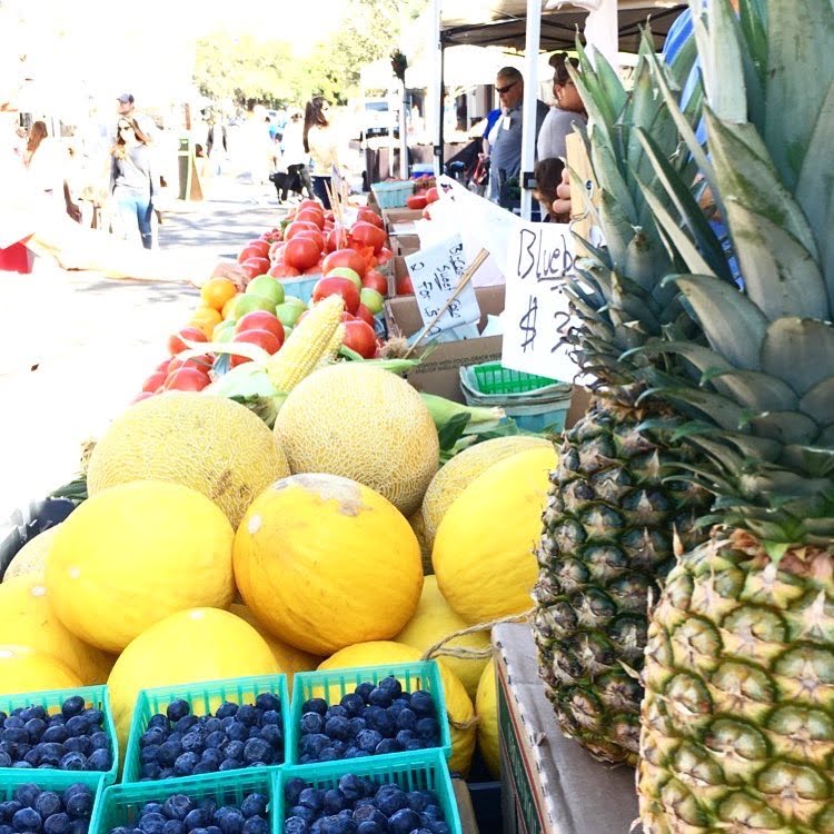 farmers markety tampa hyde park