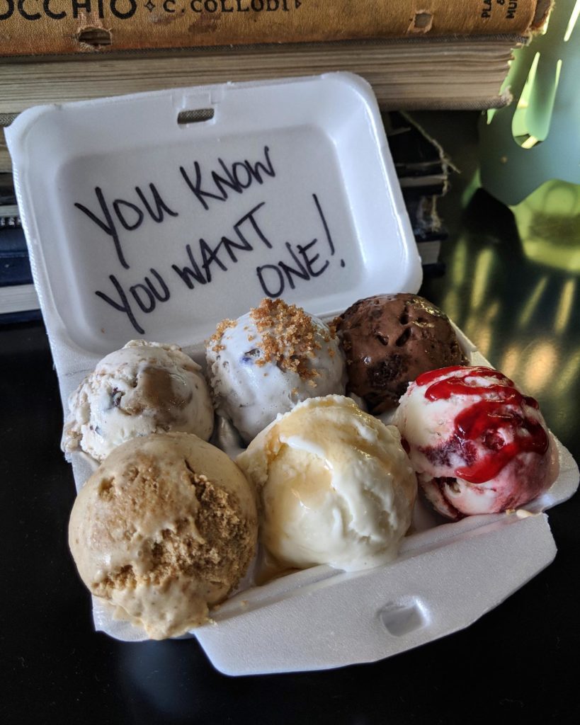 Revolution Ice Cream sampler - Tampa Bay dessert spots