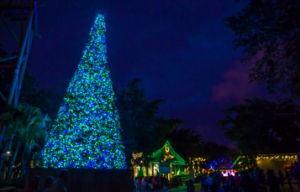 Busch Gardens Christmas Town