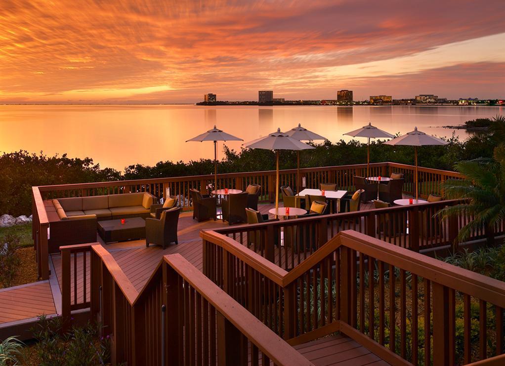 Tampa Bay Hotel dates - Oystercatchers at Grand Hyatt