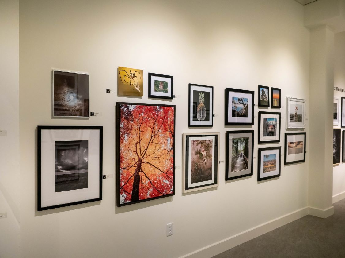 Florida Museum of Photographic Arts
