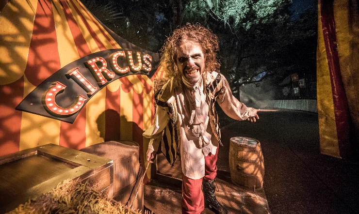 20+ Seriously Spooky and Fun Halloween Events in Tampa Bay