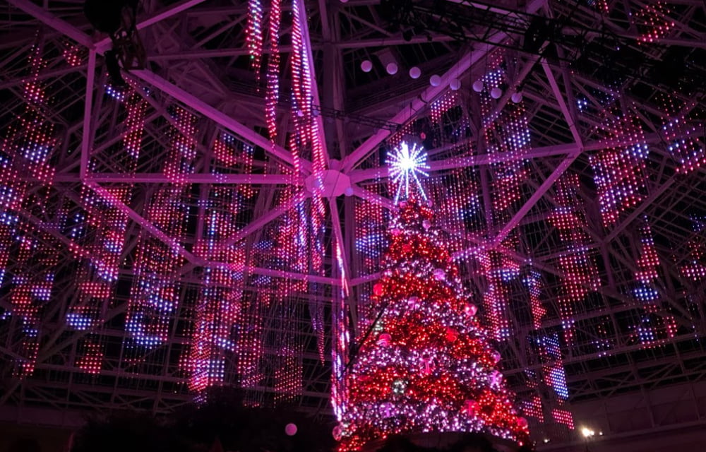 light-show Gaylord Palms