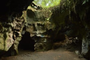 Cave Exploring Right Here in Florida