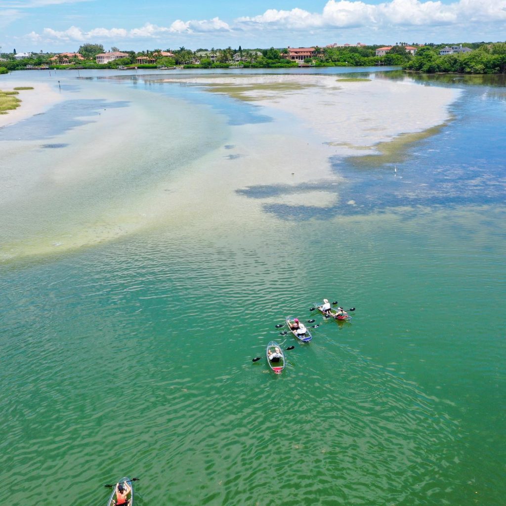 Get Up and Go Kayaking Tampa Bay Shell Key tour