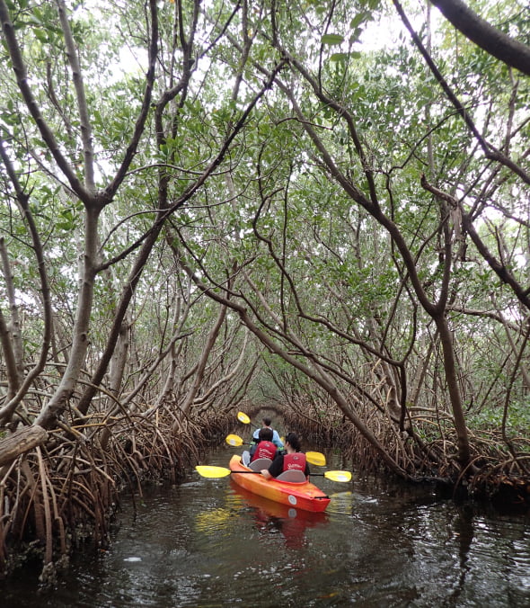 Weedon Island Preserve kayaking in St. Pete