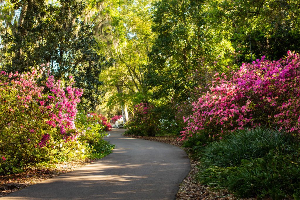 bok tower gardens tours