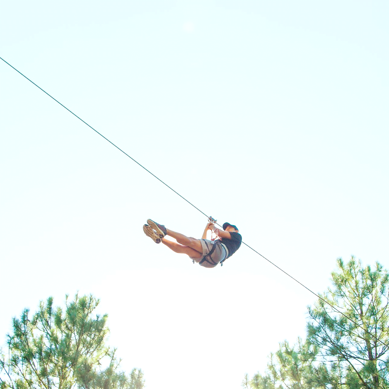 Five Places to Go Zip Lining in Tampa Bay and Beyond