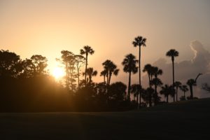 Ponte vedra beach