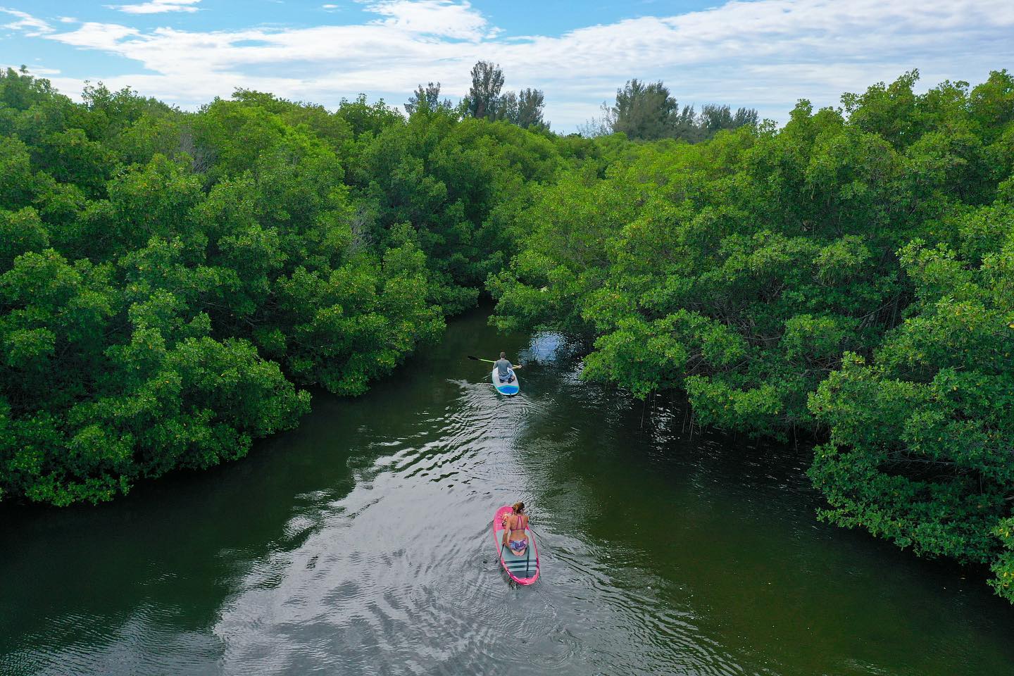 August Events in Tampa Bay - 2020