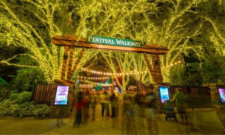 Image of the festival walkway at Busch Gardens Christmas Town 2025