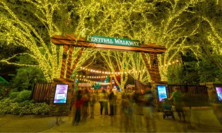 Image of the festival walkway at Busch Gardens Christmas Town 2025