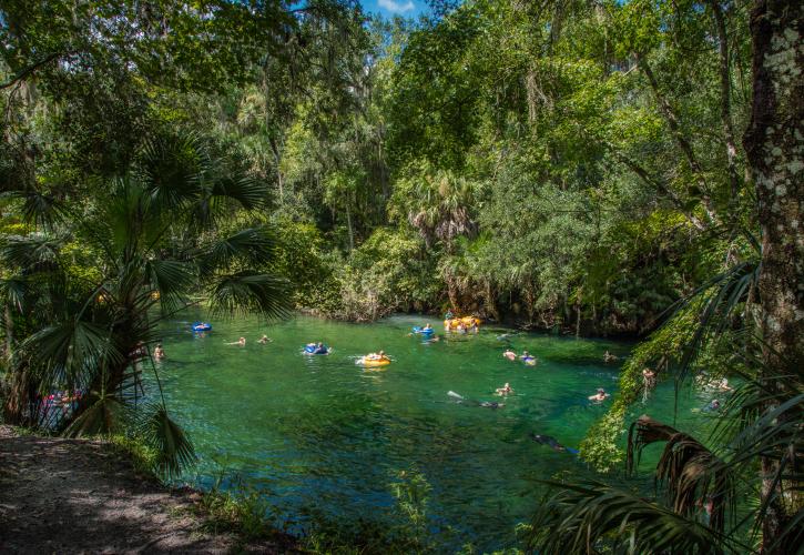 Blue Spring State Park