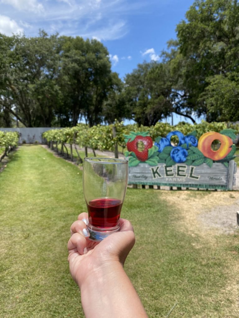 Keel & Curley Winery flight sample