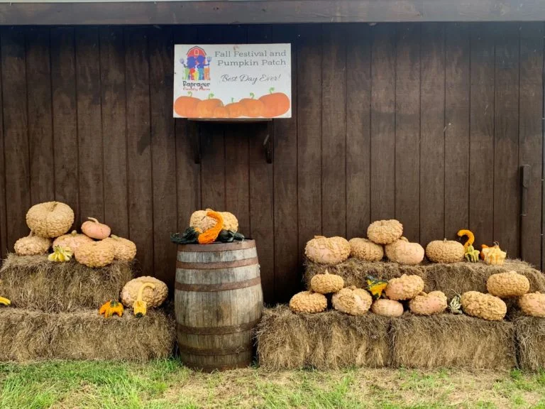 Frights and Fun at Raprager Fall Festival and Haunted Farm