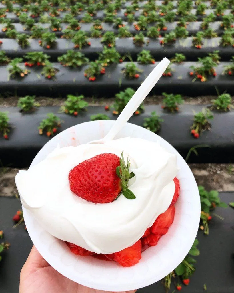Strawberry Shortcake at the Florida Strawberry Festival