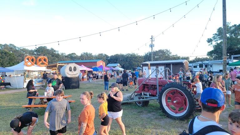 fall festival tampa