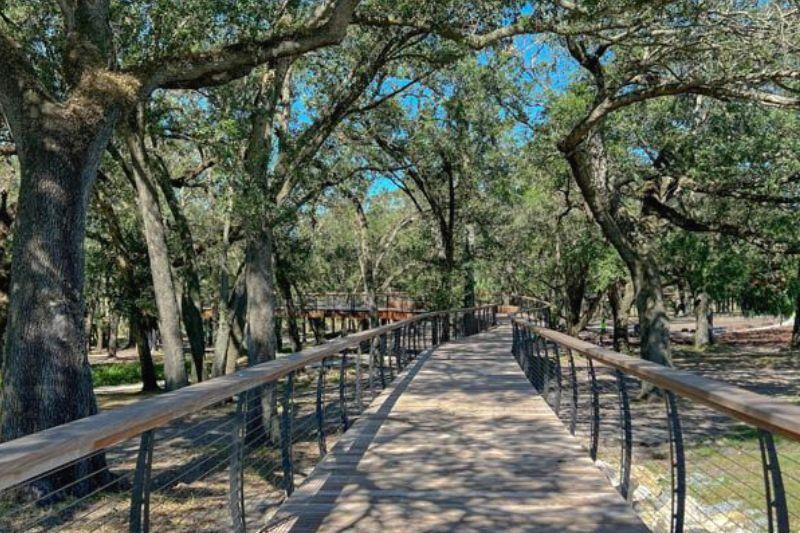 Bonnet Springs Park Canopy Walk - Laura Byrne