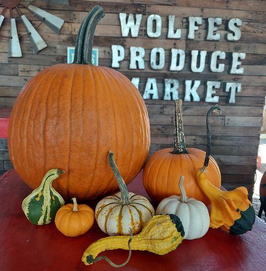 wolfes pumpkin patch riverview florida