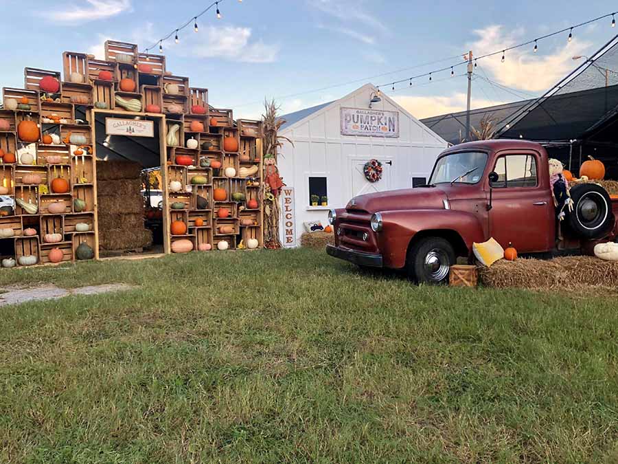 tampa fall festival in st pete