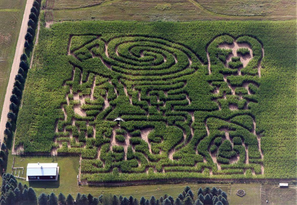 tampa corn maze and fall festival