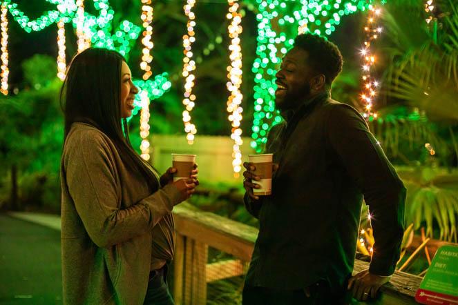 https://tampabaydatenightguide.com/wp-content/uploads/2022/11/Christmas-inthe-WIld-at-ZooTampa-Christmas-Lights-1.jpg