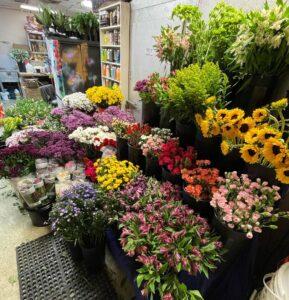 Fresh Flowers Mona's Floral Tampa Bay - @monasfloral