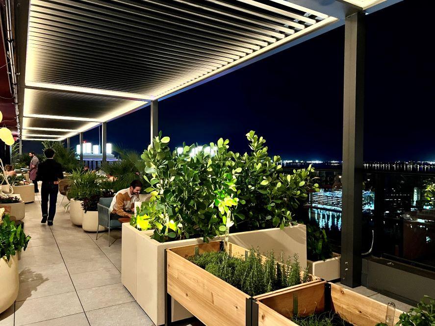 beacon rooftop bar patio herb garden