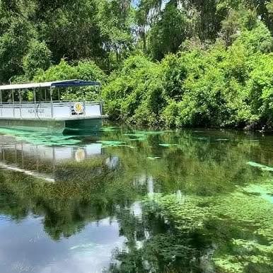 Boat Tour -at Weeki Wachee Springs - @weekiwacheesprings