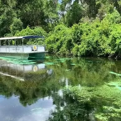 Boat Tour -at Weeki Wachee Springs - @weekiwacheesprings