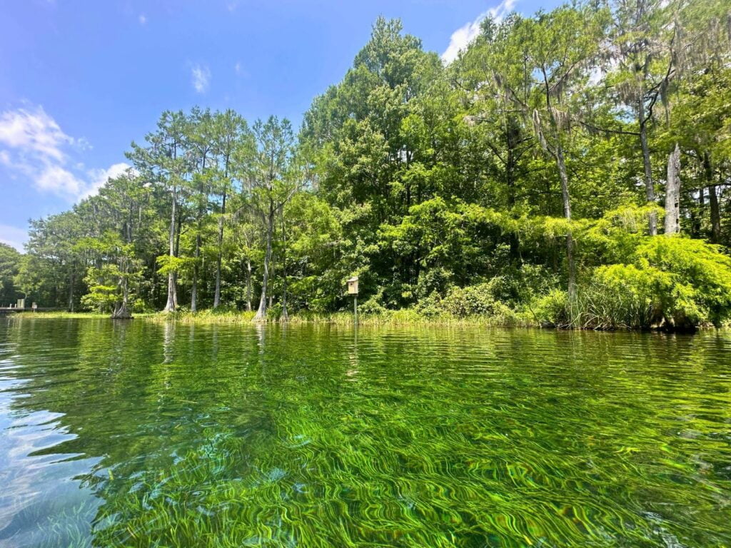 Clear water of Rainbow River in Florida