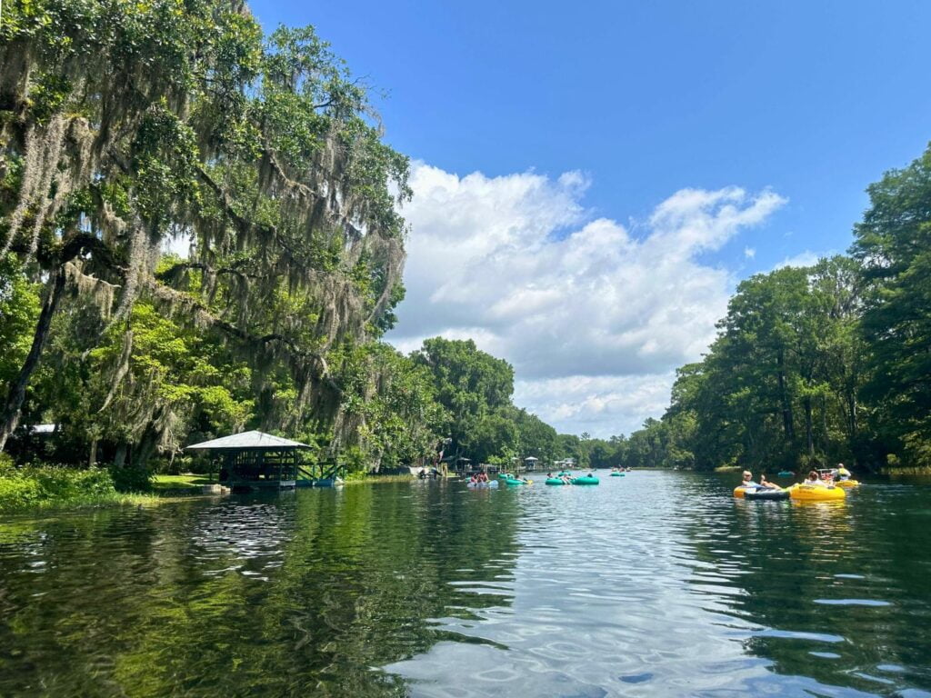 Groups of people tubing in Rainbow River