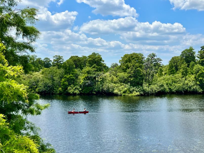Lettuce Lake Park