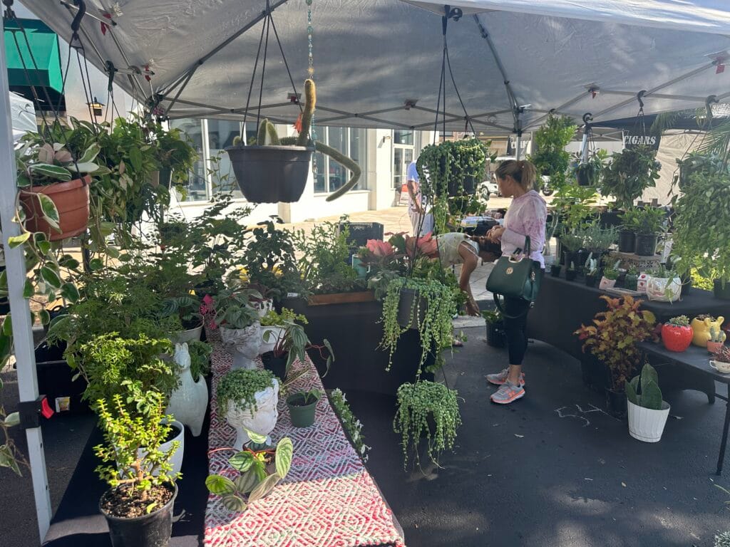 Kait Plants Plants Fresh Market at Wiregrass