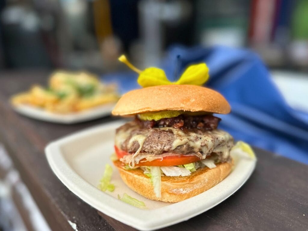 Bison Burger and Truffle Fries at SeaWorld Christmas Celebration