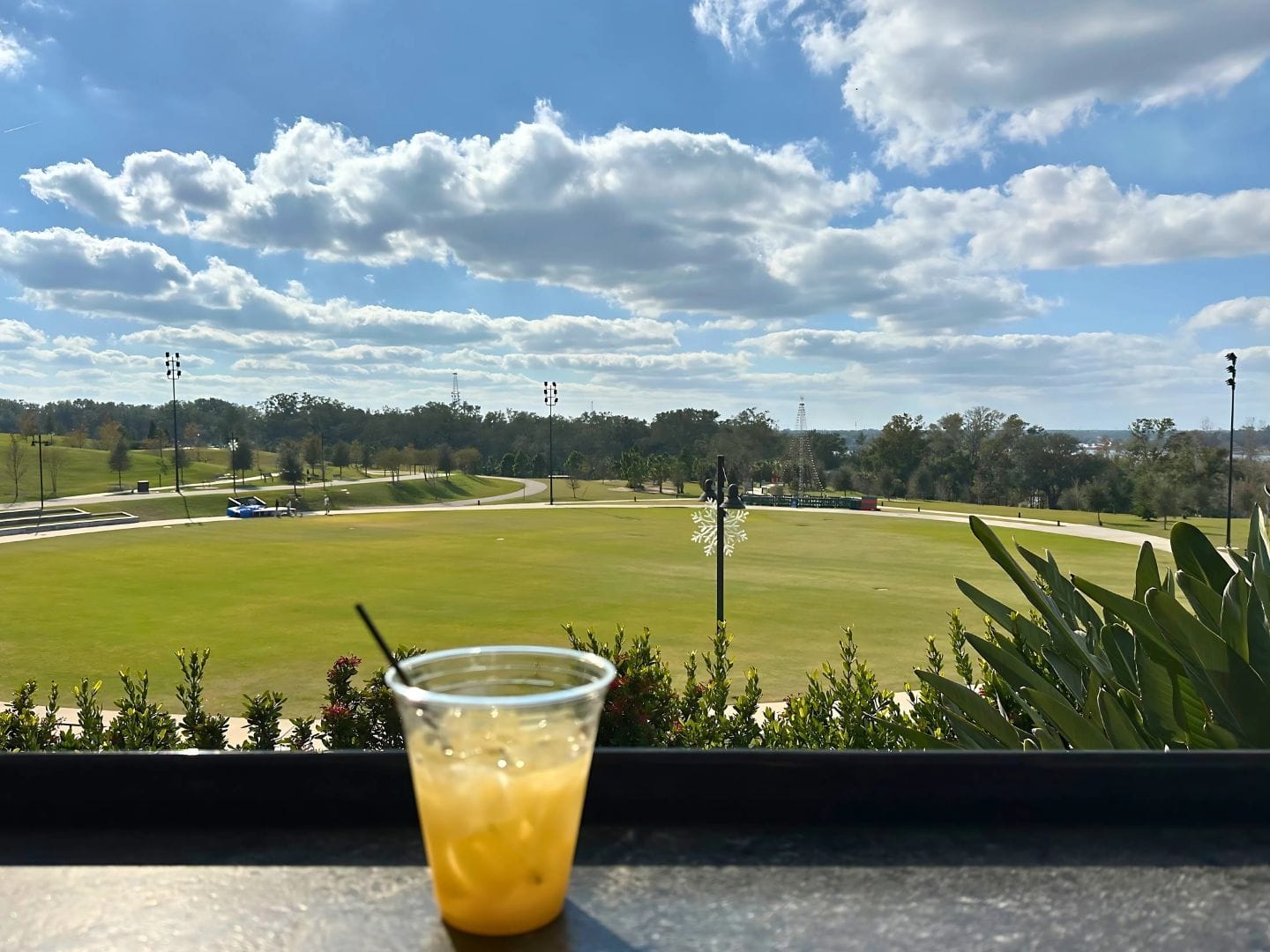 Pineapple Juice at Rooftop Garden Bar at Bonnet Springs Park - image by Dani Meyering
