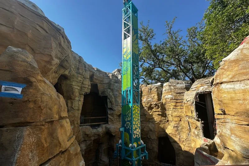 Tree Top Drop in progress at Wild Oasis