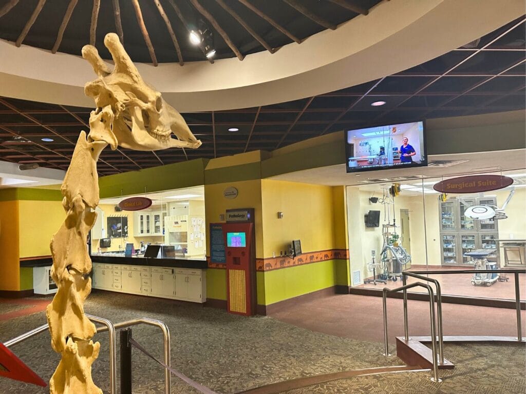 Inside Animal Care Center Busch Gardens Tampa Bay - image by Dani Meyering