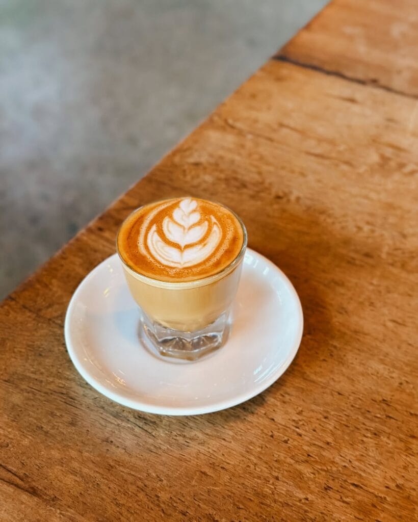Cortado from Buddy brew inside Tampa International Airport