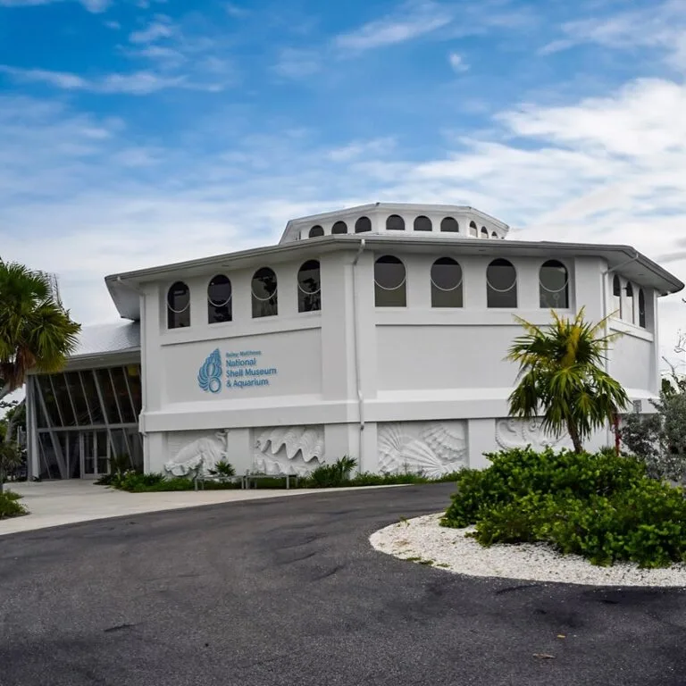 The Bailey-Matthews National Shell Museum & Aquarium located in Sanibel Florida