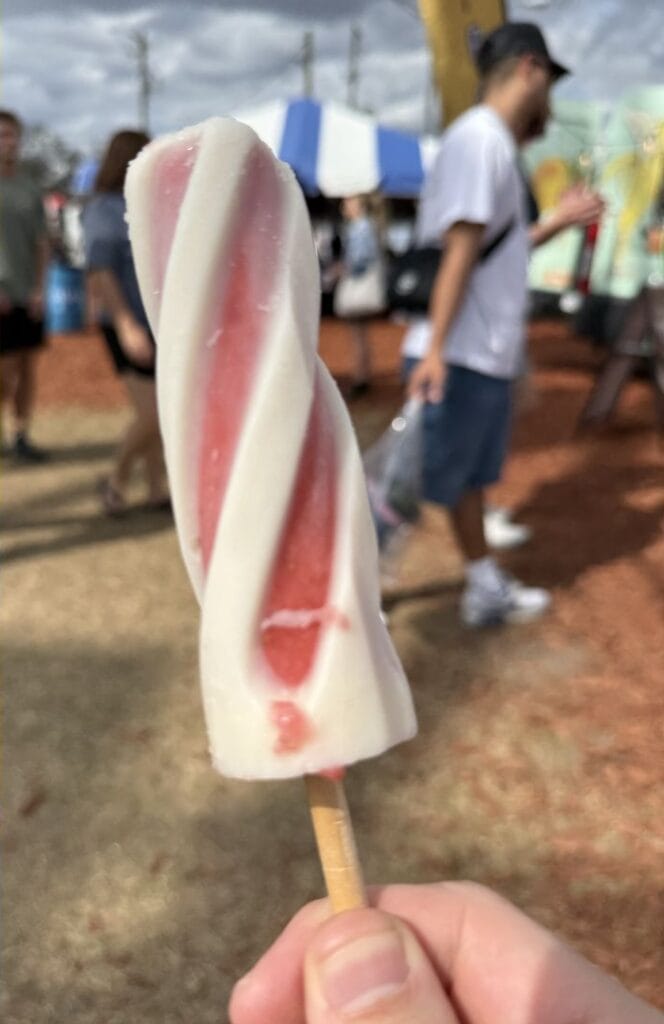 Strawberry and Cream popsicle from The Hyypo Ice Pops at the Florida Strawberry Festival